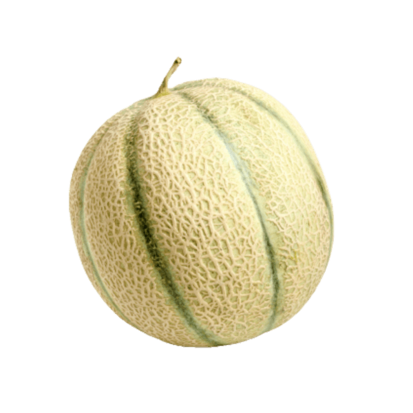 Cantaloupe
