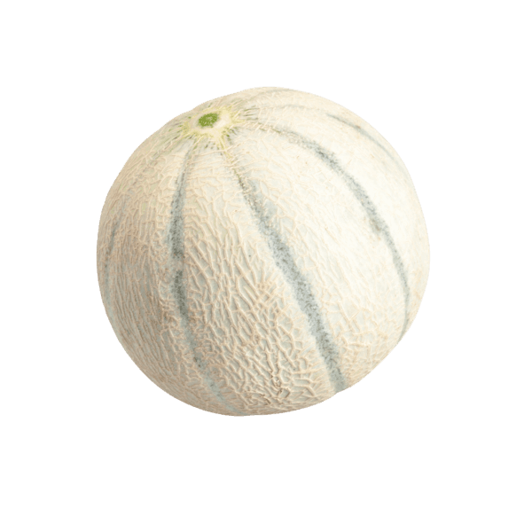 Groene charentais meloen