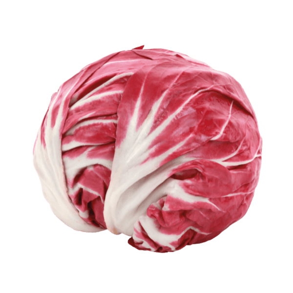 Radicchio
