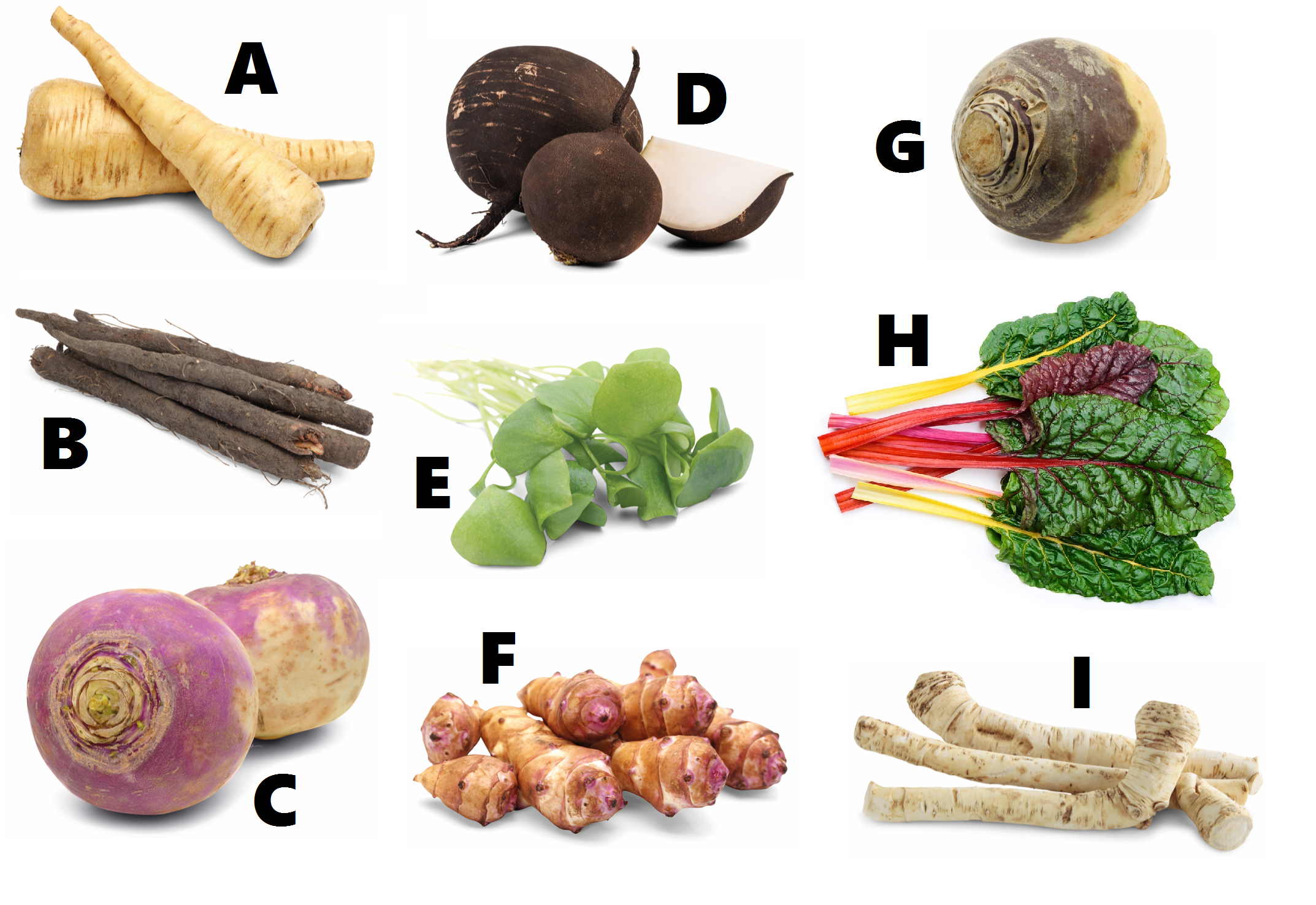 zelf heelal Besmetten QUIZ vergeten groenten: hoeveel herken jij er? - Veggipedia